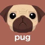 Pugの中でPHPを使えるようにする方法