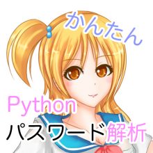 PythonでUSBメモリのパスワードを解析。総当たりでロック解除してみよう！